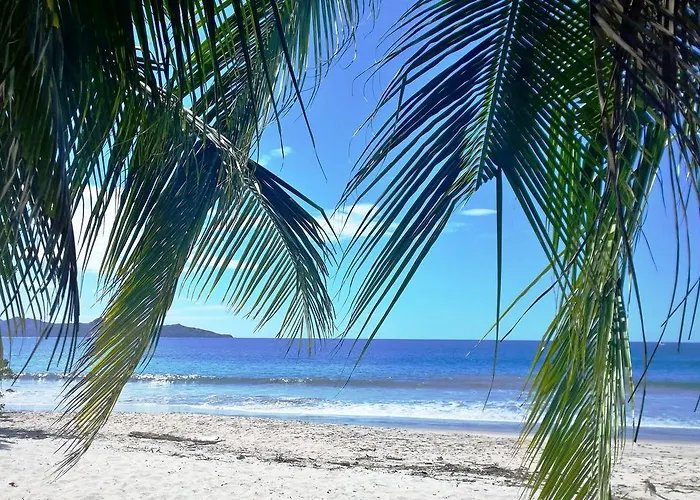 Hotel Guanacaste Lodge 3* Playa Flamingo