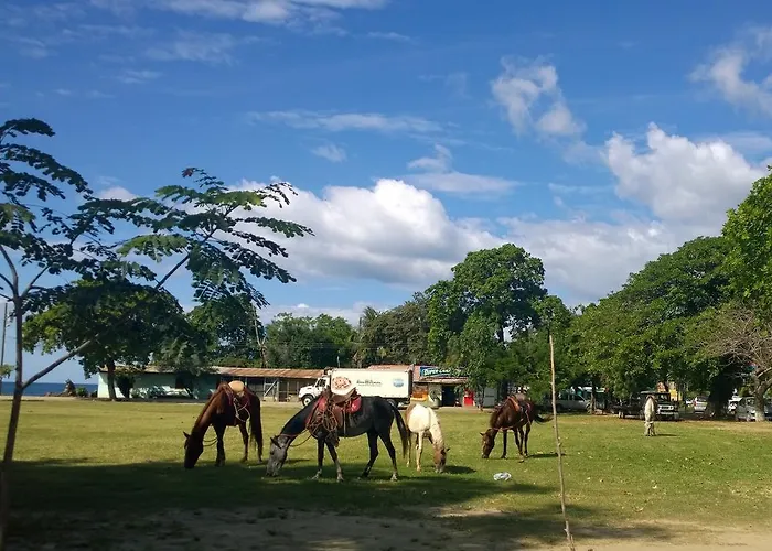 Hotel Guanacaste Lodge